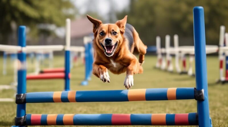 enhance canine performance through agility training