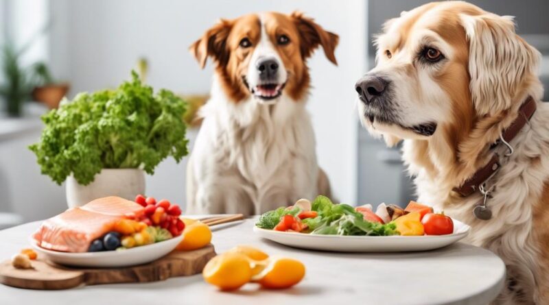 senior dog arthritis diet