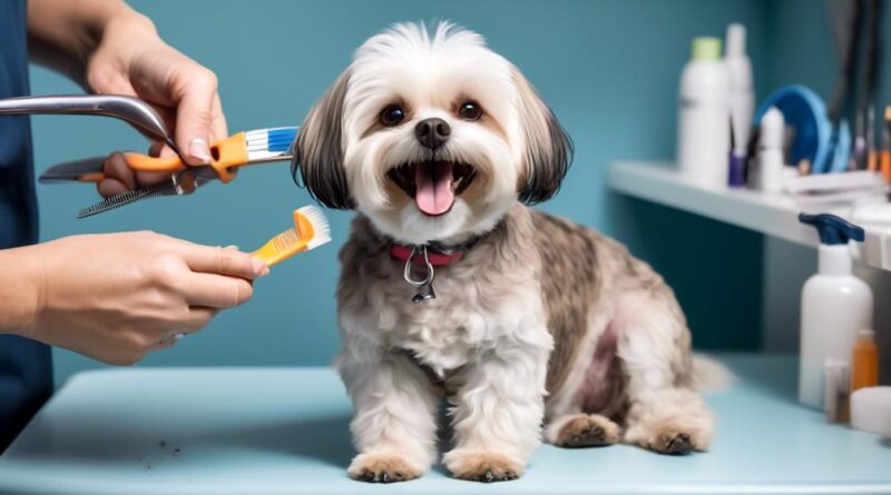 small breed dog grooming