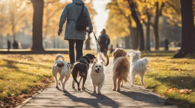 affordable dog walking services