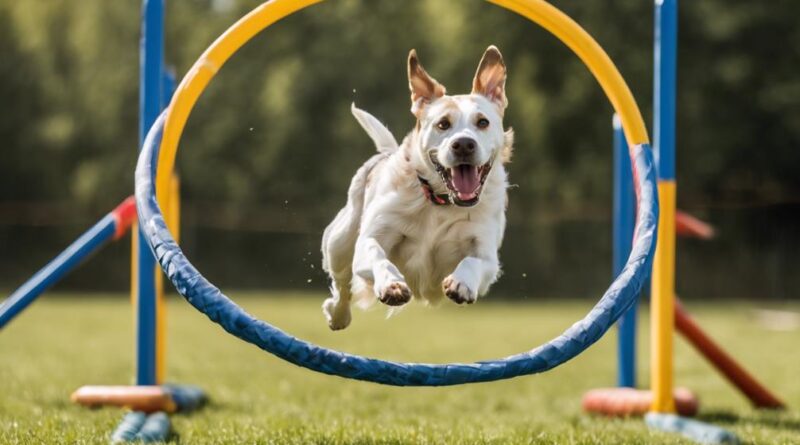 benefits of canine sports
