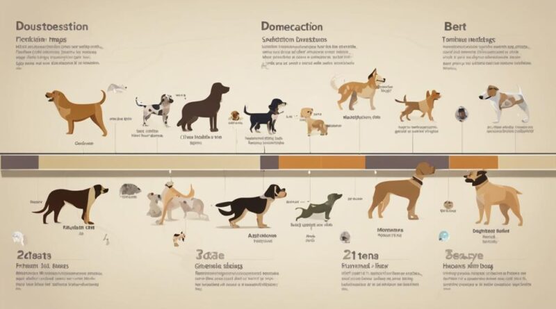 dog domestication research overview