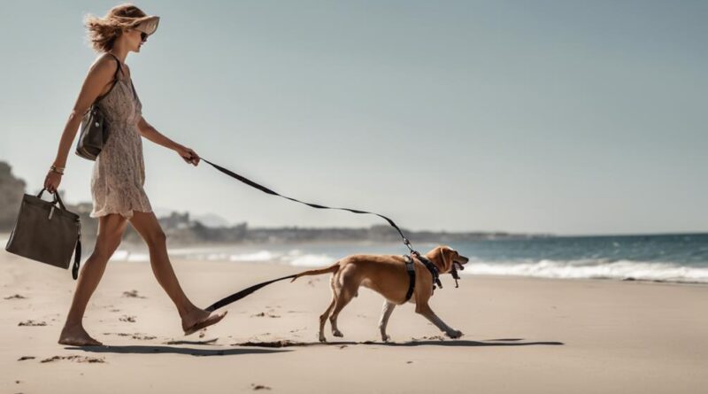 dog laws at beaches