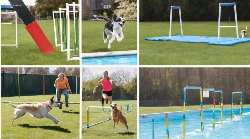 dog sports beginner guide