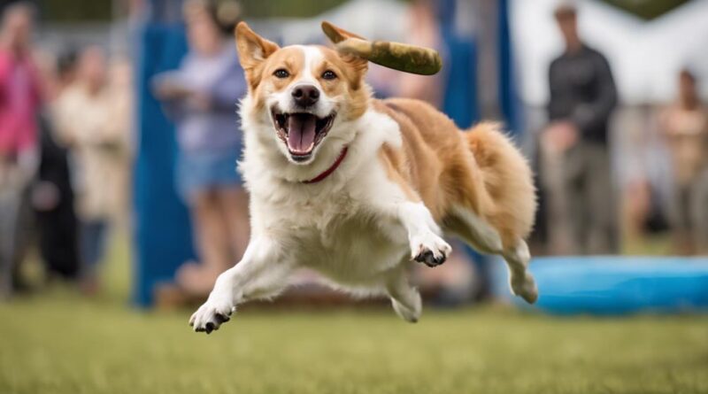 dog sports bring joy