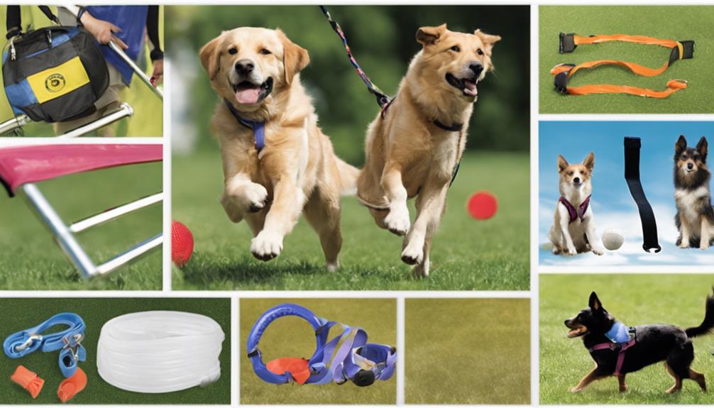 dog sports equipment overview