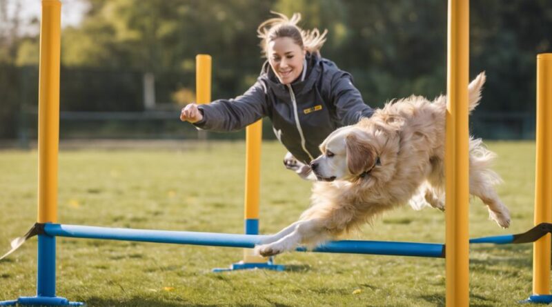 dog sports training techniques