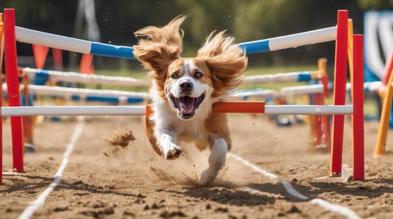 enhancing canine athletic abilities