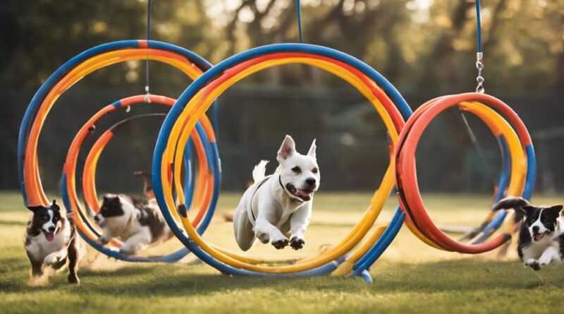 find local dog clubs