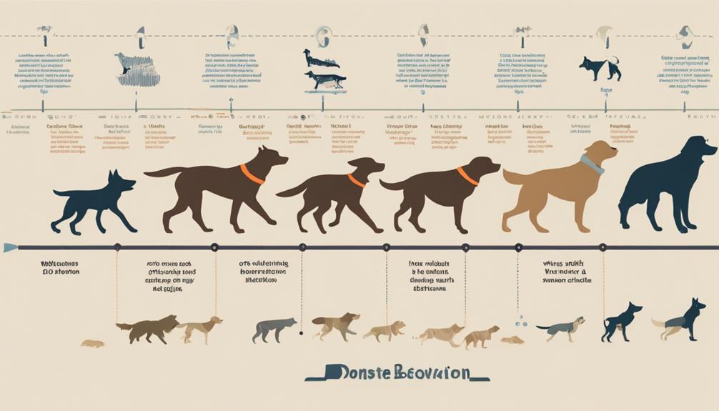 research on dog behavior