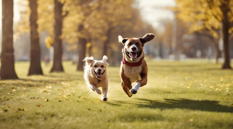 importance of canine exercise