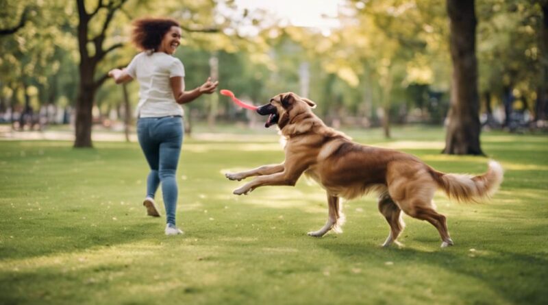 understanding your dog s feelings