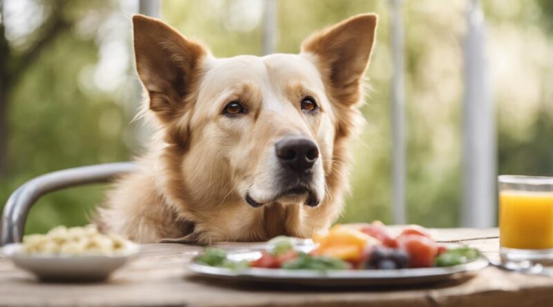 benefits of geriatric dog food