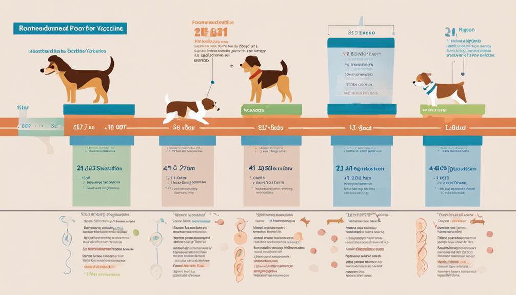 bordetella vaccine schedule details