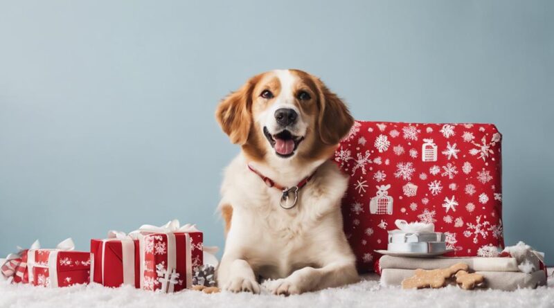 dog friendly holiday package tips